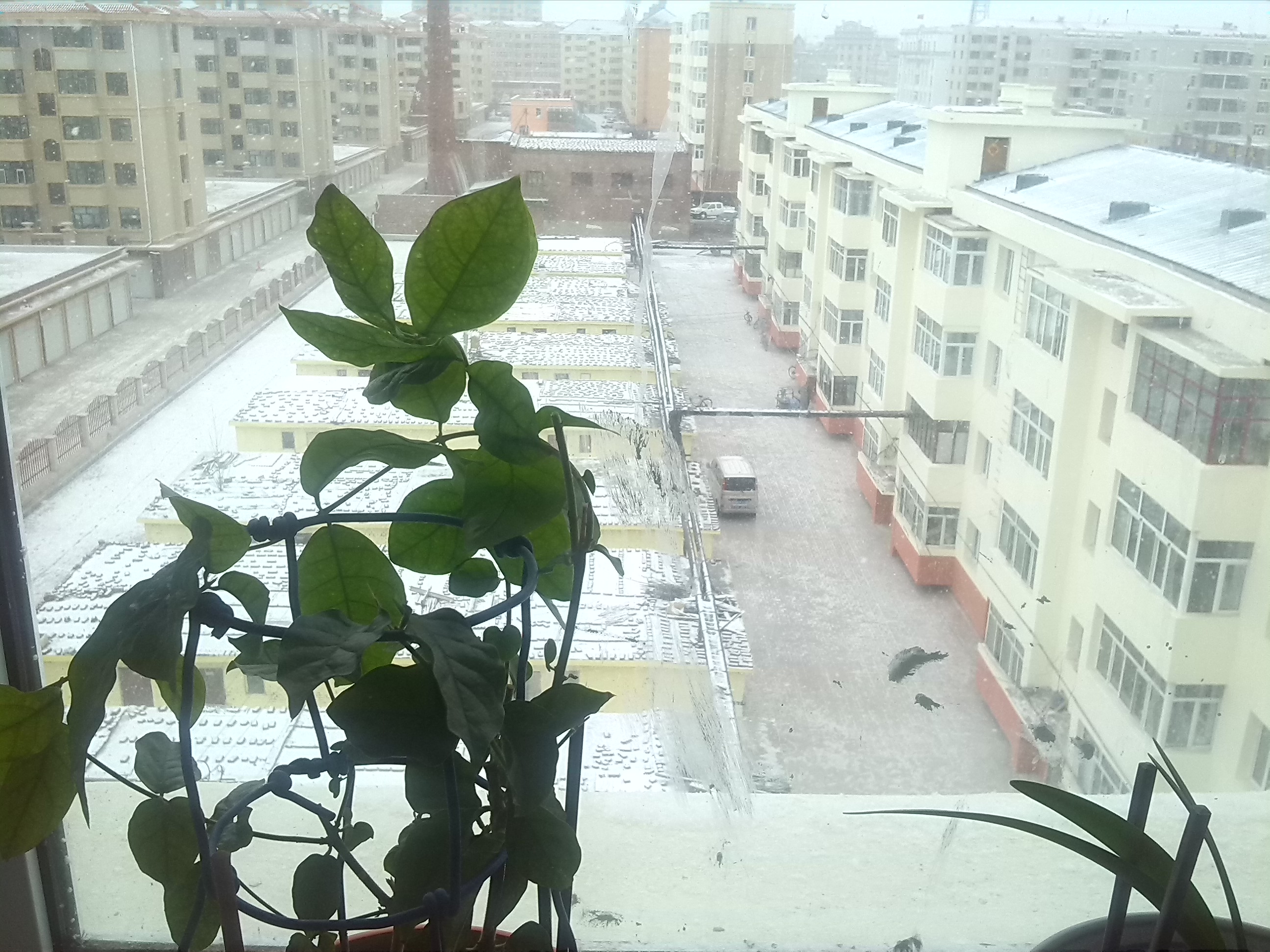 IMG_20141112_100807.jpg