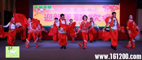 IMG_6175.jpg