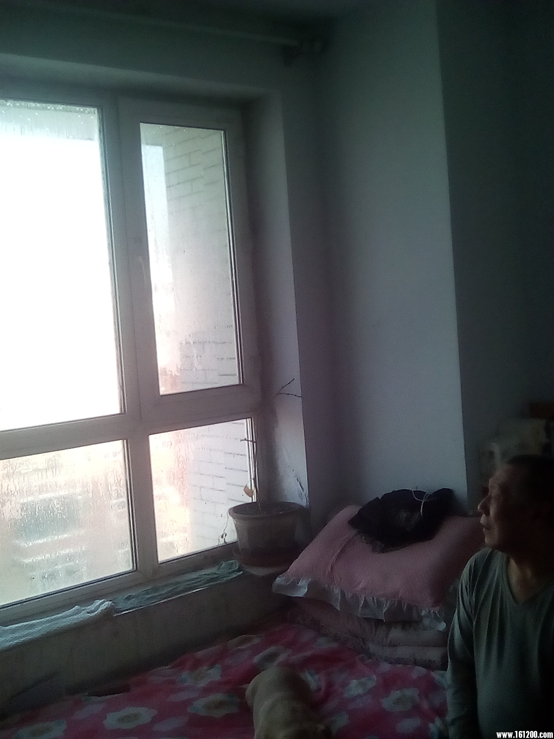 QQ图片20170208223300.jpg