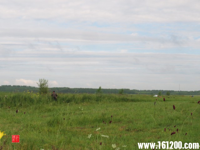 IMG_1595.jpg