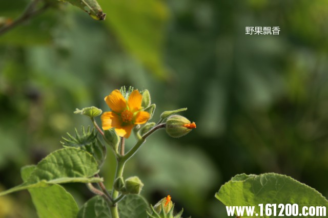 IMG_4074_副本.jpg