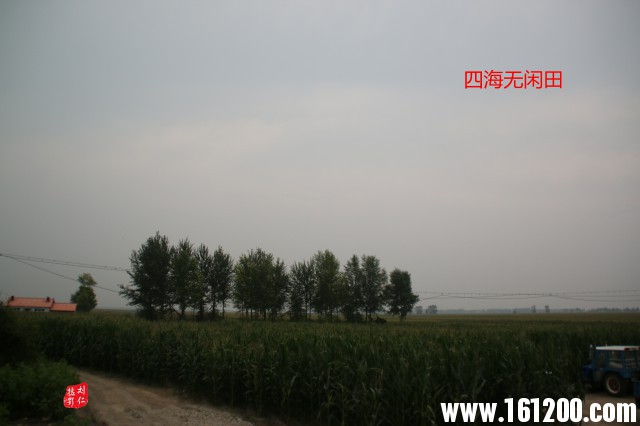 IMG_4241_副本.jpg