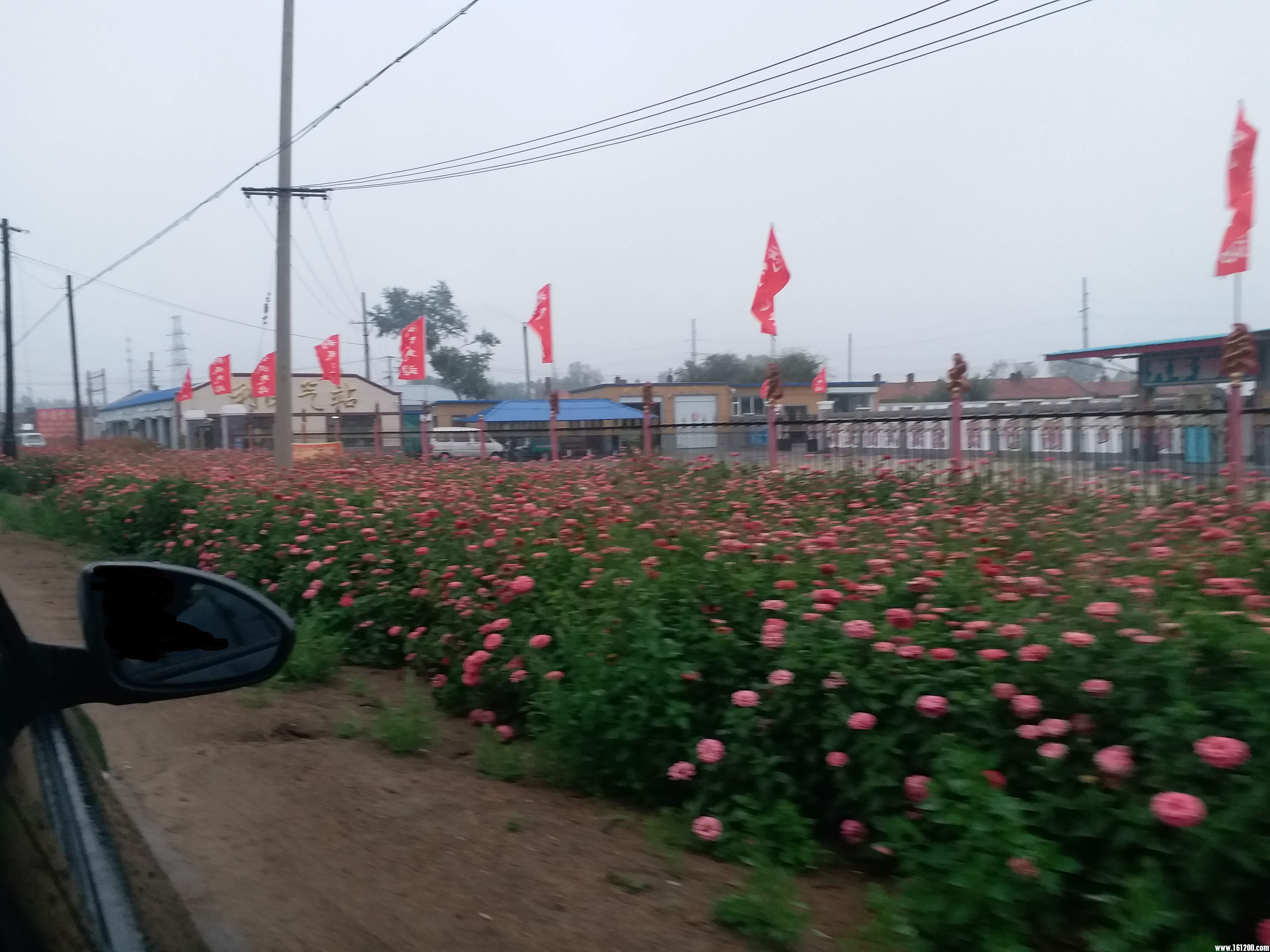 20170916_173324.jpg