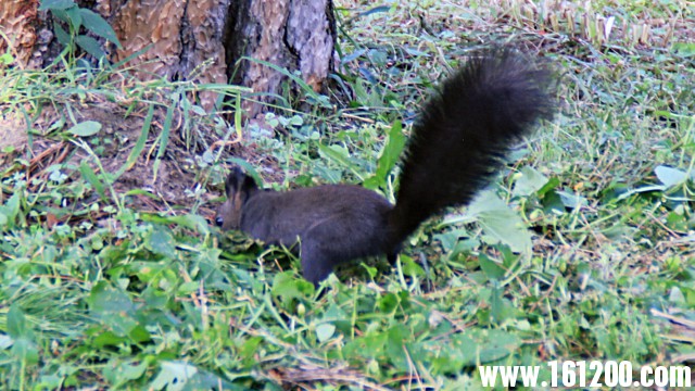 IMG_1957.jpg