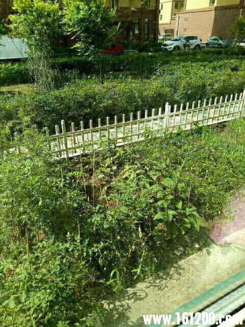 wechat_upload15359524805b8cc6606231f