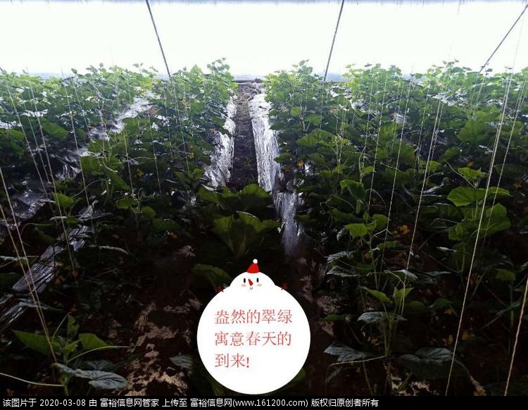 微信图片_20200308110901.jpg