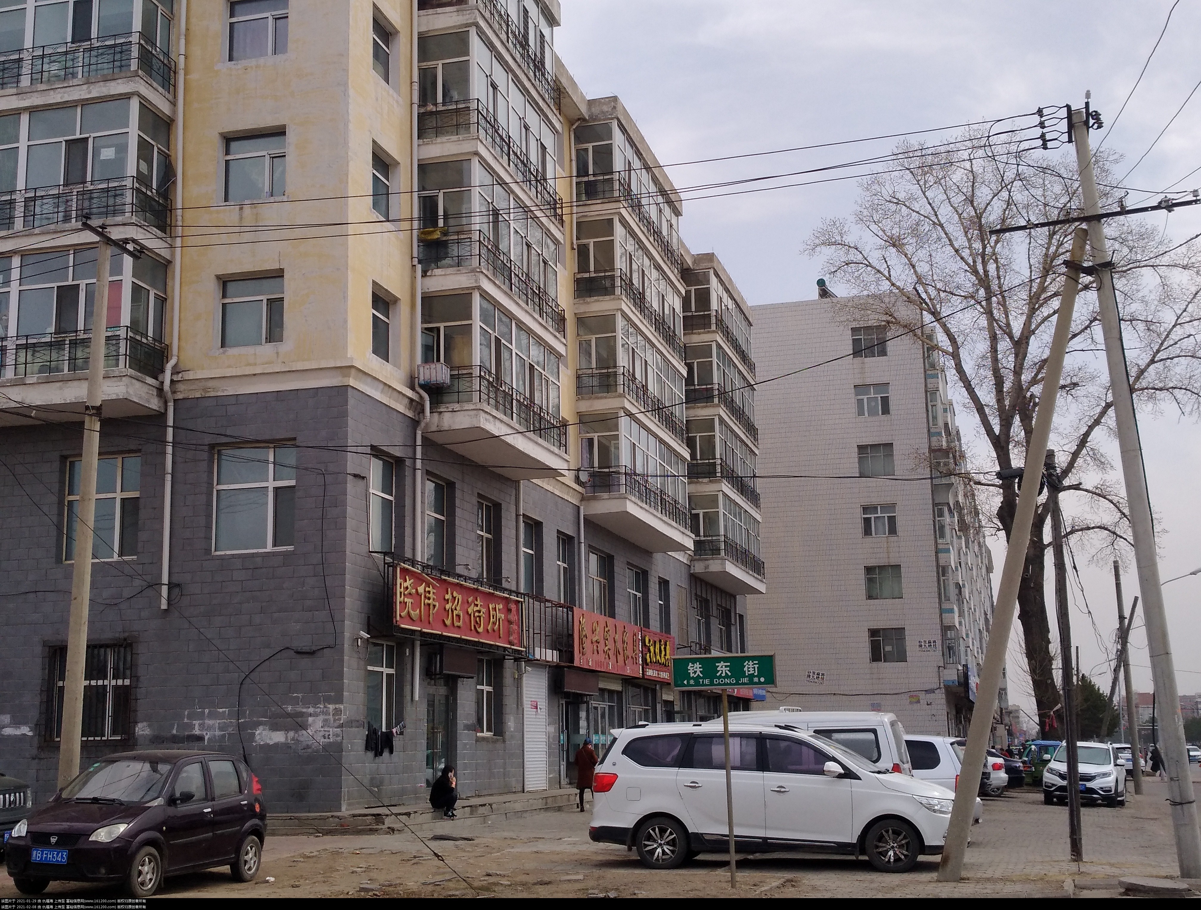 图7  2018年4月17日在西侧拍摄的三棵杨照片 (1).jpg
