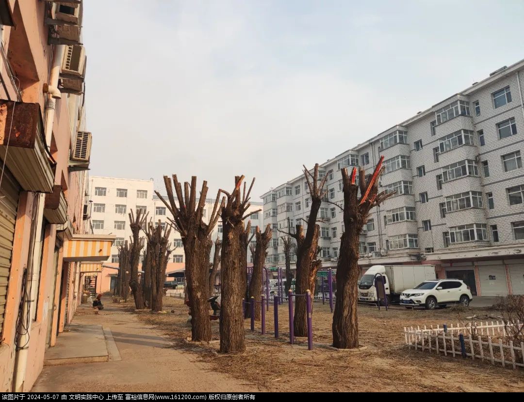 微信图片_20240507091242.jpg