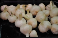 辣嘴鸭欢迎你